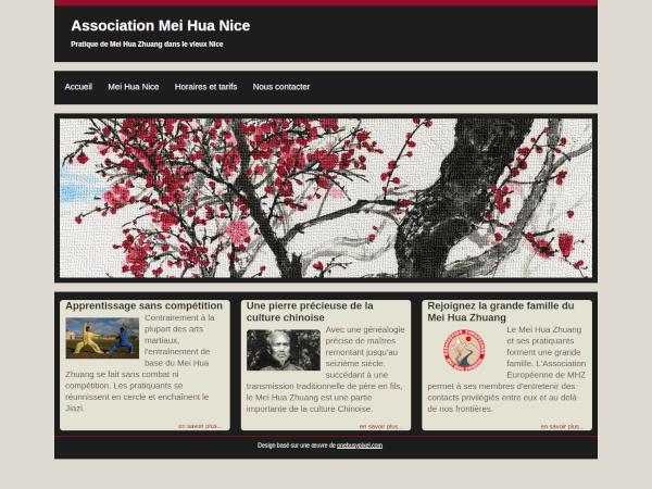 capture d’écran du site de l'Association de Mei Hua Zhuang